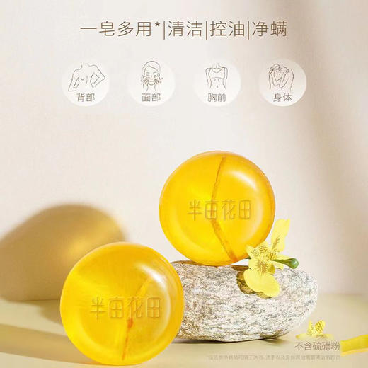 半亩花田 面部清洁控油三件套ZY22 商品图2