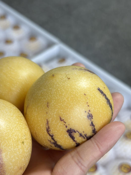 2026年树上熟人参果特级果，水份足，一口爆汁，甜甜爽爽的口感～ 商品图6