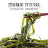 海带丝80g/袋 商品缩略图1