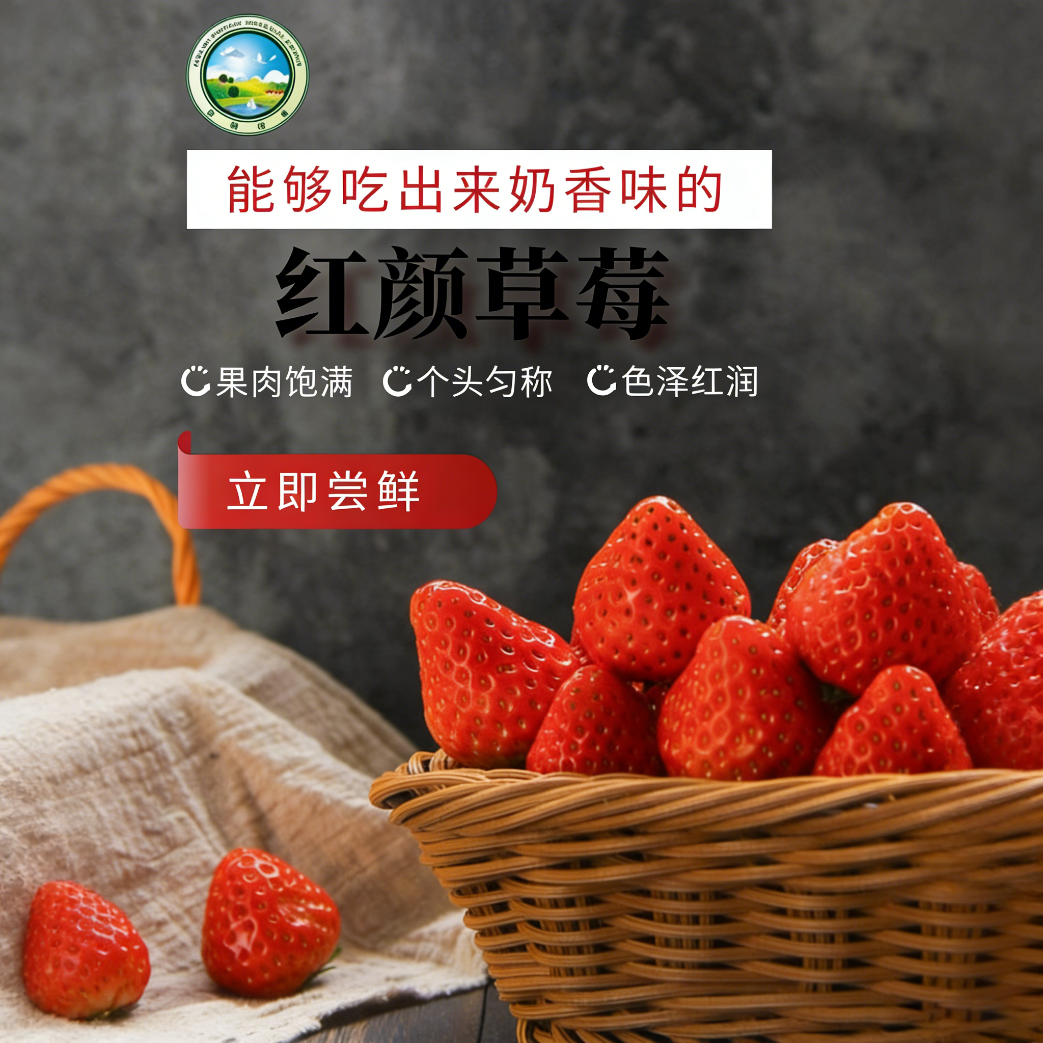 爆款热销  东滩红颜草莓