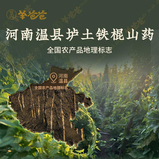 【怀山药片】温县| 7斤鲜山药≈1斤山药干 细腻粉糯 煮水煲汤非他莫属 效期至26年7月（保质期6个月） 商品图2