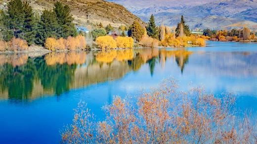 金秋新西兰・光影盛宴17 天摄影团：皇后镇、箭镇、库克山、萤火虫洞、瓦纳卡、好牧羊人教堂、福克斯冰川、霍比特人村 商品图4