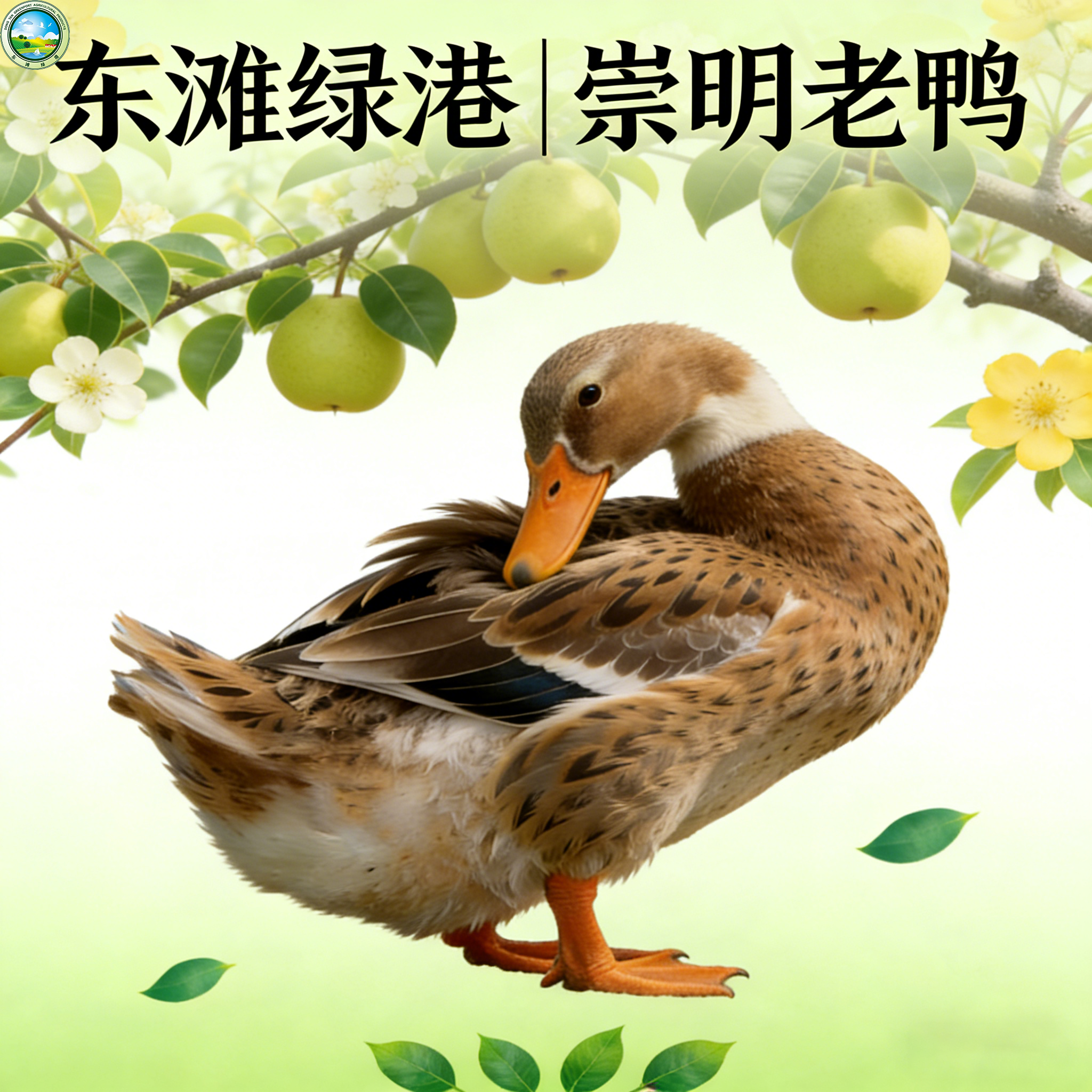 【东滩绿港】崇明老鸭（1年以上）