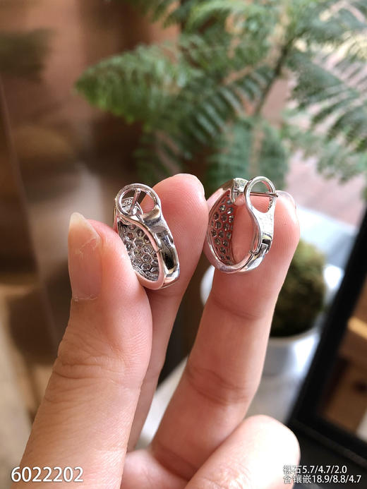 6022202，蛋面耳坠。具体价格微信咨询 商品图6