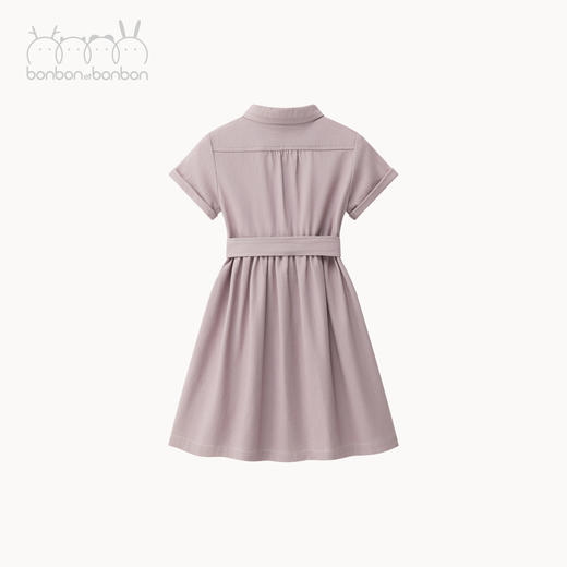 紫灰翻领系带短袖连衣裙 商品图4
