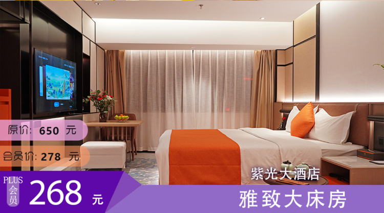 昭通紫光大酒店 雅致大床房