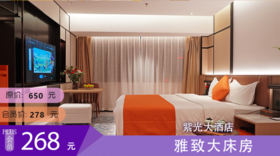 昭通紫光大酒店 雅致大床房