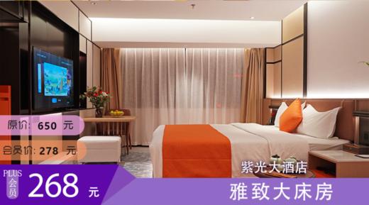 昭通紫光大酒店 雅致大床房 商品图0