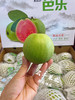 【宏丰精选】 红心芭乐，珍珠翻石榴 孕妇与老人水果 放软的口会更好，活动价15.8一斤 商品缩略图12
