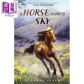 【中商原版】荒野之声 A Horse Named Sky 英文原版 儿童章节读物 冒险故事插图小说读物 进口童书 8岁以上 