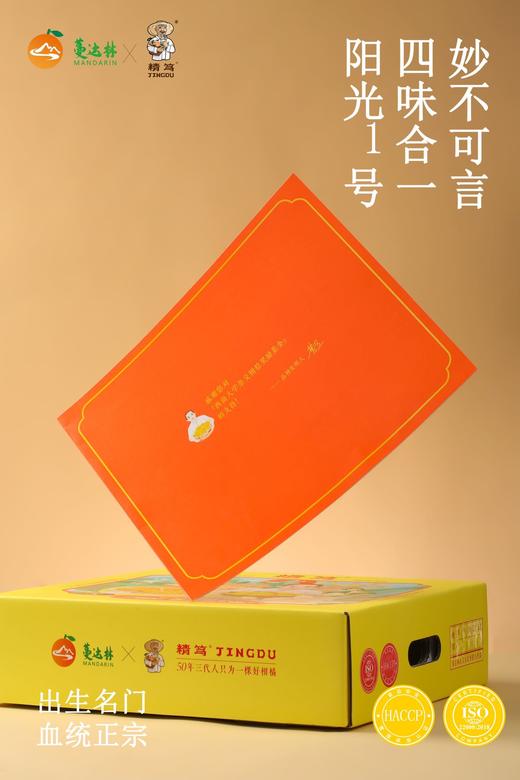 精笃®阳光一号桔柚 商品图2