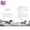 【中商原版】荒野之声 A Horse Named Sky 英文原版 儿童章节读物 冒险故事插图小说读物 进口童书 8岁以上  商品缩略图2