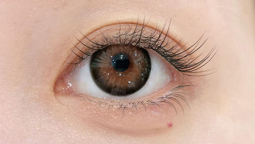 Papadox 复古玛瑙 日抛 十片 14.5mm 参考着色 14.2mm 基弧 8.7 含水 50% 新锐国货 商品图2