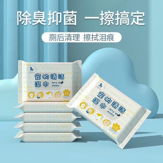 【秒杀❗️7.9抢🔥宠物清洁湿巾】清洁免洗猫咪狗狗专用擦泪痕清洁身体一次性抽取湿巾，除臭去污渍家用，有效深度清洁湿纸巾 商品图0
