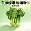 肉菜（1份，约500g） 商品缩略图0