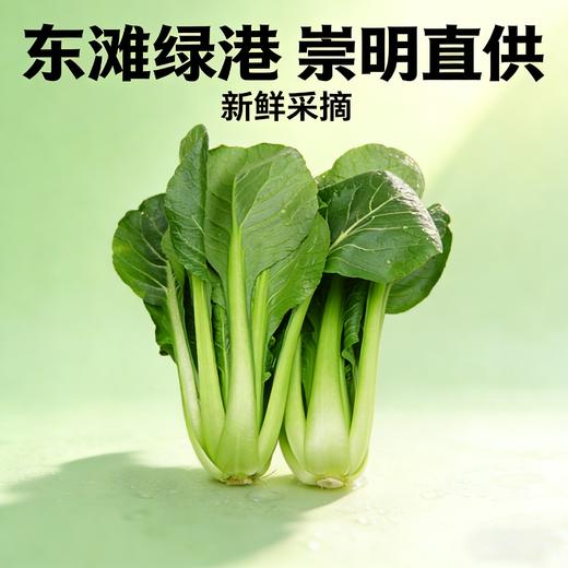 肉菜（1份，约500g） 商品图0