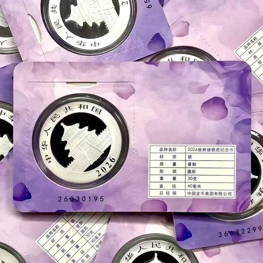 2026熊猫30克银币智能卡！带芯片！限定版！ 商品图4