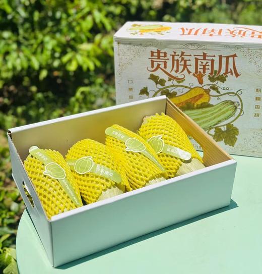 新疆贵族南瓜| 有名头的—新疆贵族南瓜 绿白色的皮，金黄果肉，粉糯香甜，恰似板栗更胜板栗，无论蒸烤煮粥，都有完美的的口感，中午午饭就是你了～ 商品图5