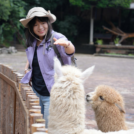 昆明周边｜青龙峡雨林徒步一日游！独家野生徒步新路线！每天可出发，亲子成人都可去，萌宠互动/秘境皮划艇/森林野餐/树攀体验/山野秘境中徒步，适合5岁-12岁的亲子家庭～五一端午路线提前预定！ 商品图4
