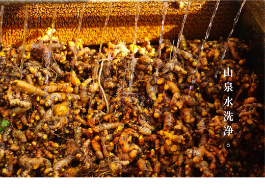 黑胡椒姜黄粉50g 商品图3