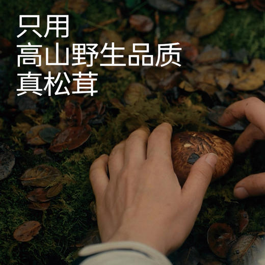 松鲜鲜松茸调味料减钠松茸提味增鲜调味料线下商超同款 商品图1