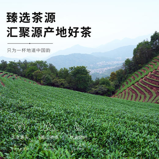 【顺丰春季茶礼】茶叶 英红九号 红茶 茶叶礼盒 茶饮 华源 250g 商品图6