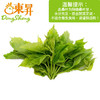 东升农场  鲜桑叶  、桑椹叶、黄桑叶  新鲜配送250G（非蚕虫食用） 商品缩略图0