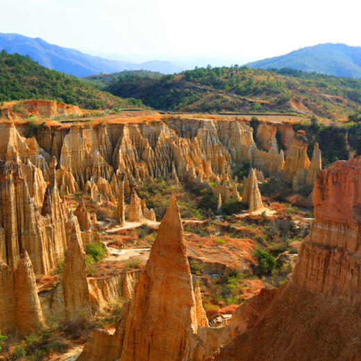 6天【梦幻云南】螺髻温泉瀑布、元谋土林、东川红土地、建昌古城、昆明·西昌蓝花楹、凤凰花、索玛花、高山杜鹃 商品图3