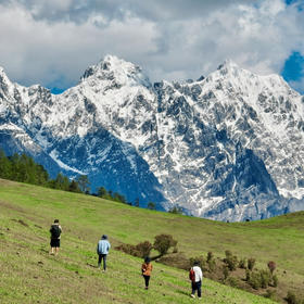 云南｜老药山+虎跳峡高路精华徒步2天1晚，云南“阿勒泰”老药山，高山草甸牧场林海，哈巴玉龙双雪山观景，世界十大最美经典徒步路线之虎跳峡高路，领略山河壮美！五一端午路线提前预定！