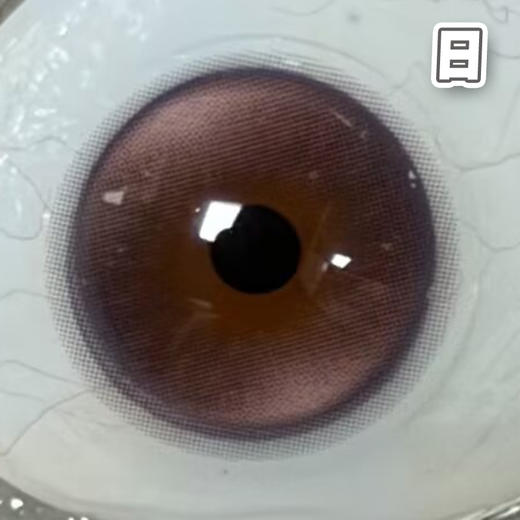 莓好方糖 粉紫色 14.2mm 基弧8.7【10片装】进口日抛 商品图2