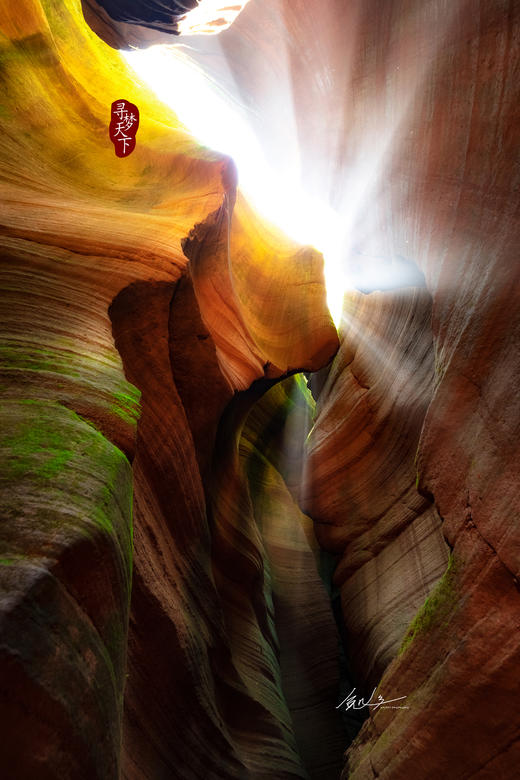 梦回长安・秋染陕地7天：古都长安、临潼柿子人像、古观音禅寺、安塞腰鼓、波浪谷、壶口瀑布、雨岔大峡谷摄影团 商品图7