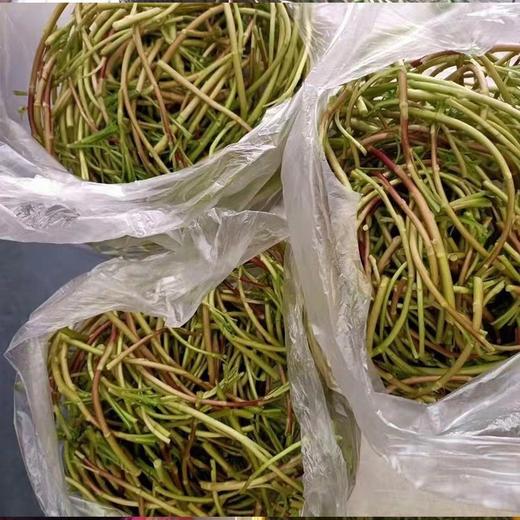 野生藜蒿，1斤 商品图1