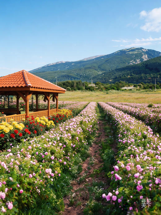 【巴尔干秘境寻踪】保加利亚 + 罗马尼亚 + 匈牙利 + 克罗地亚摄影之旅12天—22天 商品图7