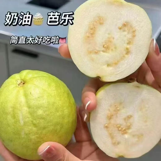 奶油冰激凌芭乐 商品图1