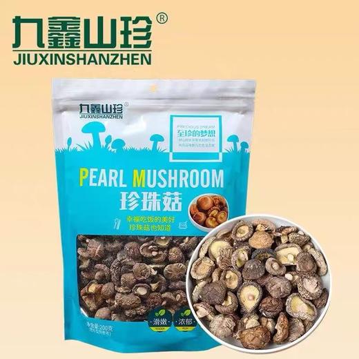 伊春·九鑫山珍200g袋装珍珠菇 商品图0