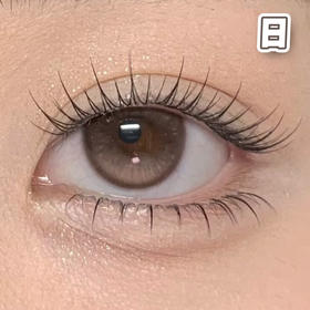 胡桃奇想 巧棕色 14.5mm 基弧8.7【10片装】进口日抛