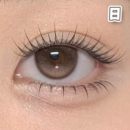 胡桃奇想 巧棕色 14.5mm 基弧8.7【10片装】进口日抛 商品图0