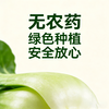 【每周特惠】生态蔬菜超值体验套餐-（青菜 杭白菜 油麦菜各一斤） 商品缩略图2