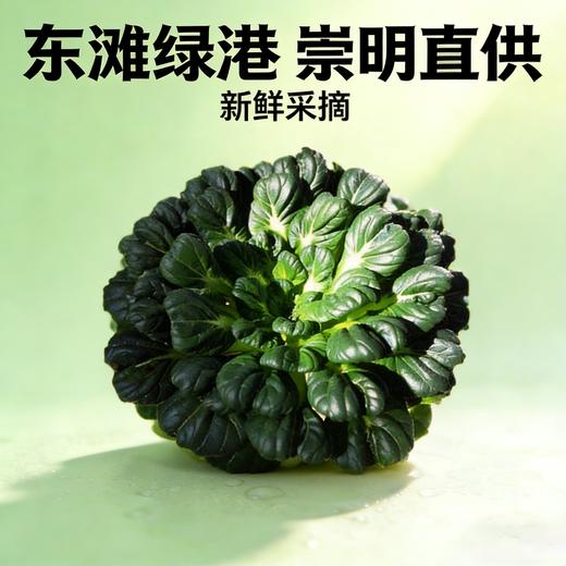 塌菜（1份，约500g） 商品图0
