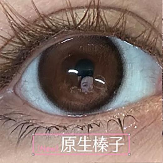 KiraFairy 鹦鹉螺 日抛 十片 14.5mm 参考着色 13.8mm 基弧 8.5 含水 40% 新锐国货 商品图0