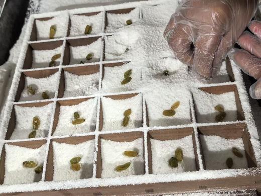 周一取货：【桂花糕】一盒8个，香甜软糯！ 商品图1