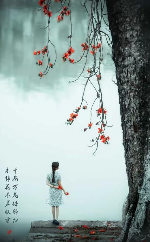 3月17日带你去拍百年古木棉，行摄目前最大葵林（含人像模特） 商品图8