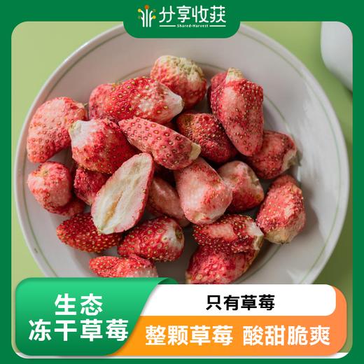 生态冻干草莓  | 只有草莓 整颗草莓 酸甜脆爽 | 合作生产 * Ecological freeze-dried strawberries 商品图0