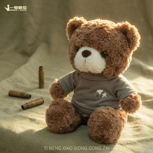 【体能小熊公仔】体能小熊公仔23cm毛绒公仔陪伴公仔送1个日富一日帆布袋y 商品图0