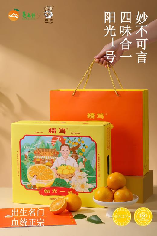 精笃®阳光一号桔柚 商品图1