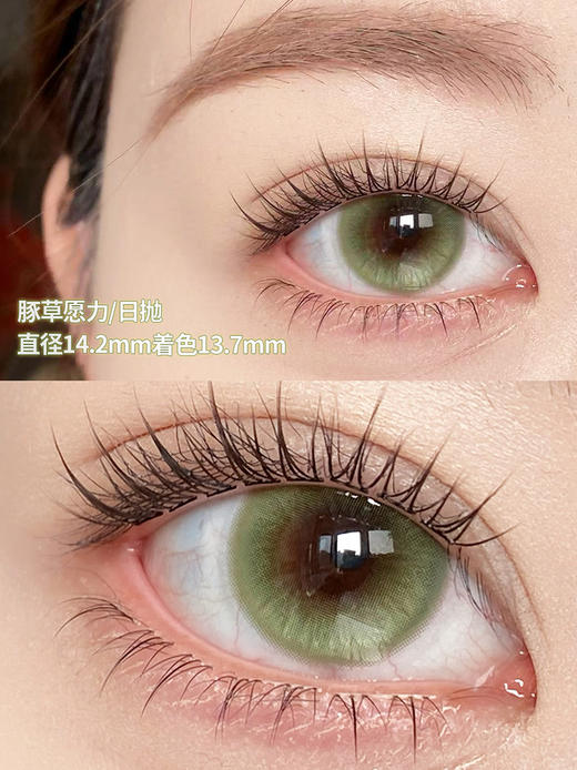 KiraFairy 豚草愿力 日抛 十片 14.2mm 参考着色 13.7mm 基弧 8.5 含水 40% 新锐国货 商品图1