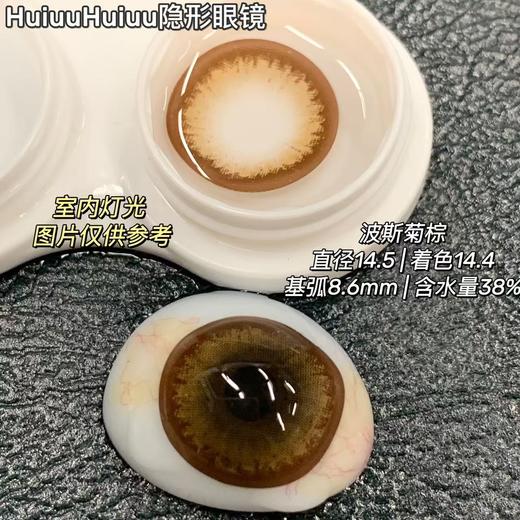 【大直径日抛/年抛】Sheepcon-超大蜜糖色/波斯菊棕-总直径14.5mm【日抛/年抛 0-1000度 不含525/575】 商品图3