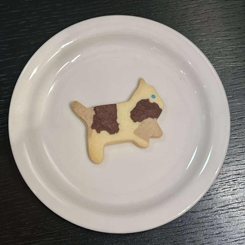 Nancy“女巫的猫” 手工饼干