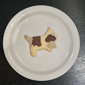 Nancy“女巫的猫” 手工饼干