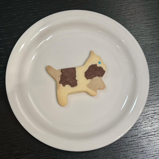 Nancy“女巫的猫” 手工饼干 商品图0